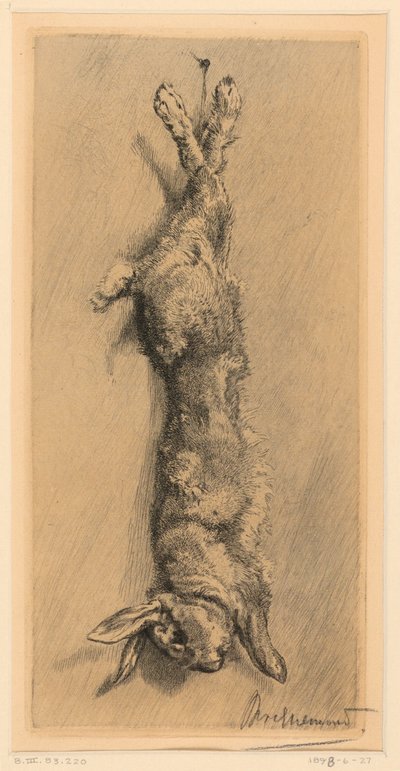 Królik Garenne autorstwa Felix Bracquemond