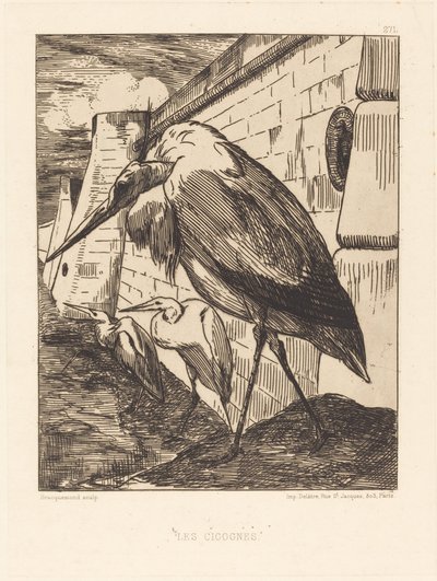 Les Cigognes (Bociany) autorstwa Felix Bracquemond