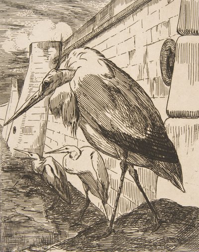 Bociany, lata 70., 1870. autorstwa Felix Bracquemond
