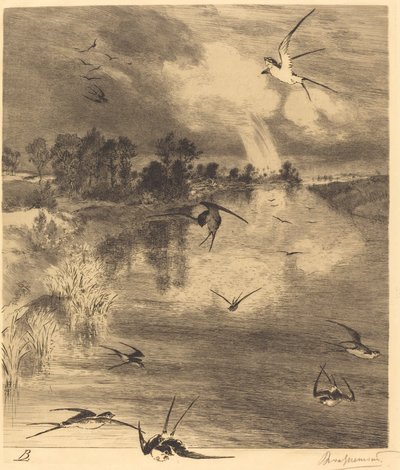 Les Hirondelles (Jaskółki) autorstwa Felix Bracquemond