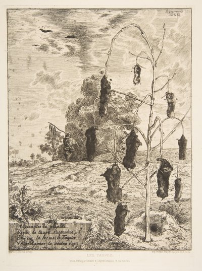 Krety, 1854. autorstwa Felix Bracquemond