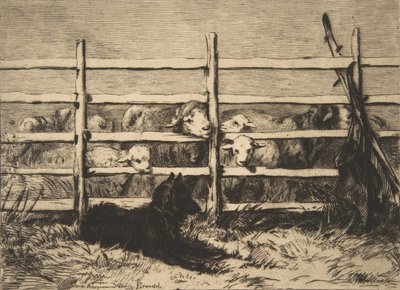 Zaganione owce, 1856 r. autorstwa Felix Bracquemond