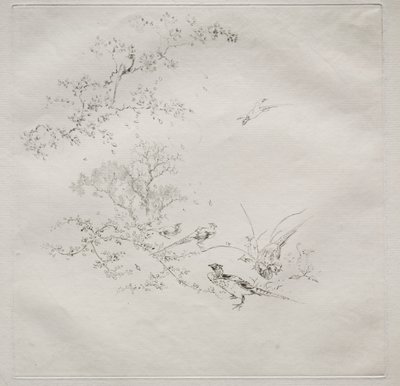 Serwis paryski (usługa Haviland) autorstwa Felix Bracquemond