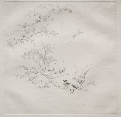 Serwis paryski (serwis Haviland): Mgła (nr 1) autorstwa Felix Bracquemond