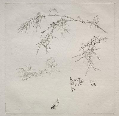 Serwis paryski (serwis Haviland): Deszcz (nr 10) autorstwa Felix Bracquemond
