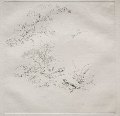 Serwis paryski Serwis Haviland: Mgła nr. 1, 1875. autorstwa Felix Bracquemond