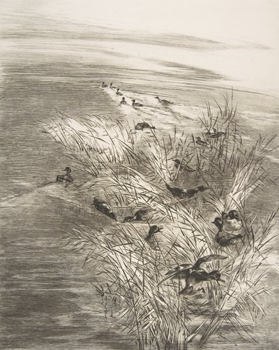 Stroiki i cyraneczki, 1882. autorstwa Felix Bracquemond