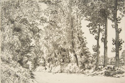 Rue des Bruyères, w Sèvres, 1868. autorstwa Felix Bracquemond