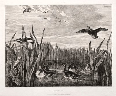 Cyraneczki, 1853 wydrukowane 1864. autorstwa Felix Bracquemond