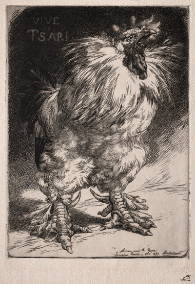 Francuski kogut autorstwa Felix Bracquemond