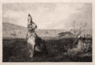 Zając (według A. de Balleroy) autorstwa Felix Bracquemond