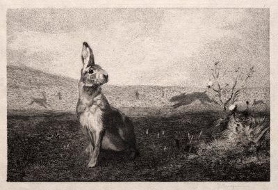 Zając według A. de Balleroy, 1865. autorstwa Felix Bracquemond