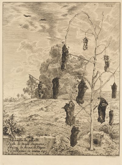 Krety autorstwa Felix Bracquemond