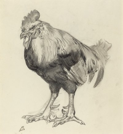 Stary Kutas autorstwa Felix Bracquemond