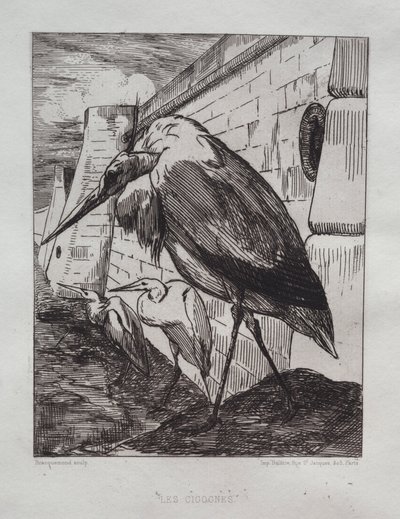Bociany, 1865. autorstwa Felix Bracquemond