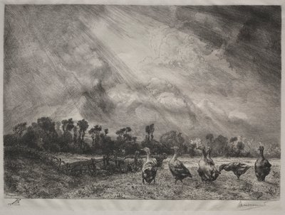 Chmura burzowa autorstwa Felix Bracquemond