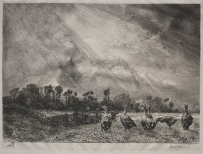 Chmura burzowa, 1878-1887. autorstwa Felix Bracquemond