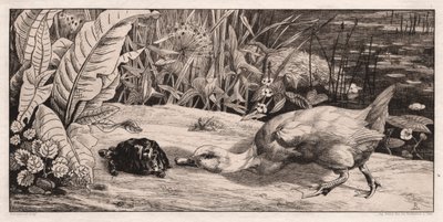 Nieznane, 1862. autorstwa Felix Bracquemond