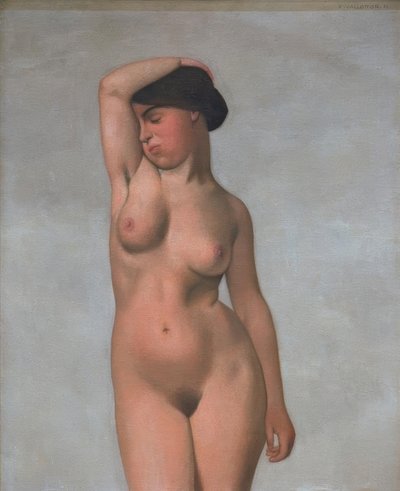 Akt kobiecy z podniesionym ramieniem autorstwa Felix Edouard Vallotton