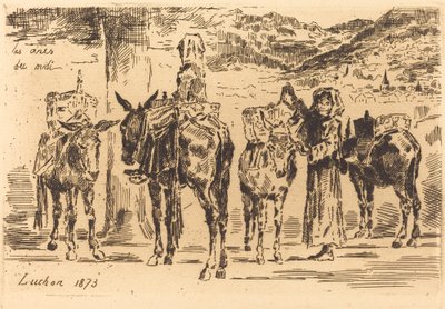 Arkusze osłów z południa, 1873 r. autorstwa Felix Hilaire Buhot
