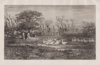 Gęsi, 1860-98. autorstwa Felix Hilaire Buhot