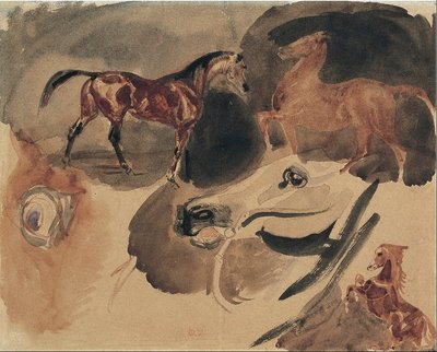Studium Koni autorstwa Ferdinand Victor Eugene Delacroix