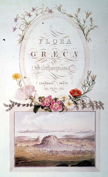 Strona tytułowa do tomu 6 "Flora Graeca Sibthorpiana". autorstwa Ferdinand Bauer