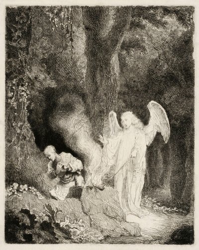  autorstwa Ferdinand Bol