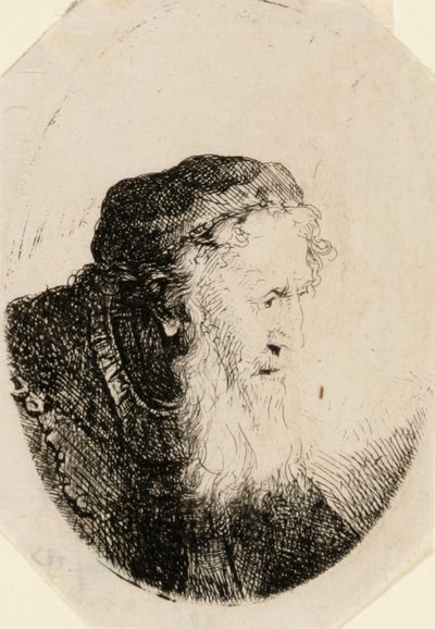 Stary mężczyzna z falującą brodą autorstwa Ferdinand Bol