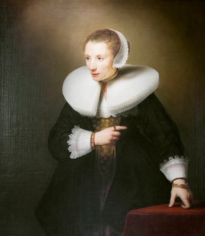 Portret nieznanej kobiety autorstwa Ferdinand Bol