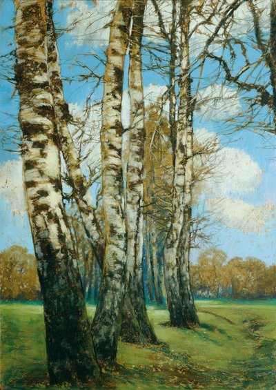 Brzoza autorstwa Ferdinand Engelmuller