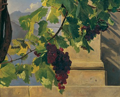 Winogrona zwisające autorstwa Ferdinand Georg Waldmüller