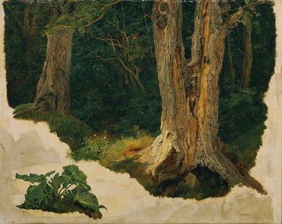 badanie drzewa autorstwa Ferdinand Georg Waldmuller