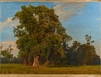 Duży krajobraz Prateru autorstwa Ferdinand Georg Waldmuller