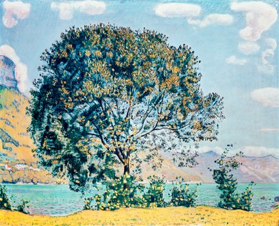 Nieznany obraz autorstwa Ferdinand Hodler