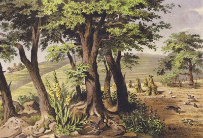 Sierpień (druk kolorowy) autorstwa Ferdinand Karl Klimsch