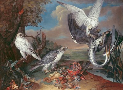 Sokoły cyrlandzkie autorstwa Ferdinand Phillip de Hamilton