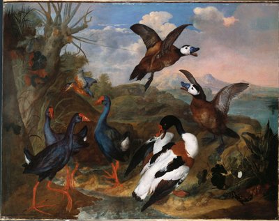 Kaczki muszli i inne ptactwo w krajobrazie, 1720 autorstwa Ferdinand Phillip de Hamilton