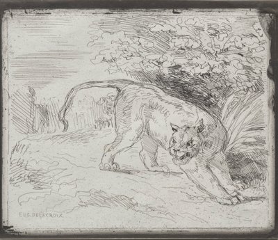 Uwięziony tygrys, 1854. autorstwa Ferdinand Victor Eugene Delacroix