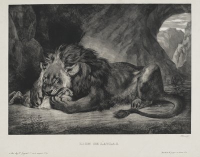 Lew z Atlasu, 1829 autorstwa Ferdinand Victor Eugene Delacroix