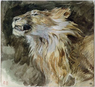 Głowa lwa (akwarela na papierze) autorstwa Ferdinand Victor Eugene Delacroix