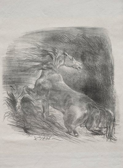 Dziki koń lub przestraszony koń wychodzący z wody, 1828. autorstwa Ferdinand Victor Eugene Delacroix