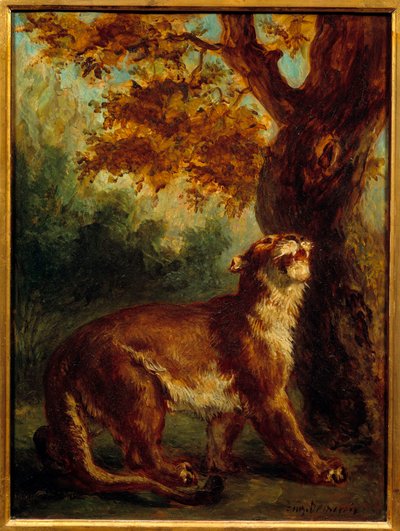 Cougar mówi również, że lwica szuka zdobyczy. Obraz Eugene Delacroix (1798-1863) autorstwa Ferdinand Victor Eugene Delacroix