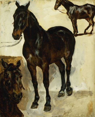 Trzy Studia Koni; Trzy badania koni, c.1823 autorstwa Ferdinand Victor Eugene Delacroix
