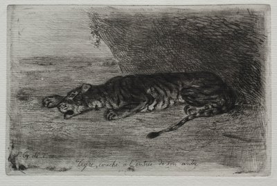 Tygrys leżący przy wejściu do swojego legowiska. autorstwa Ferdinand Victor Eugene Delacroix