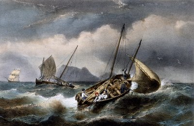 Połów sardynek wzdłuż wybrzeża Bretogne, kolorowa litografia Ferdinanda Perrota (1808-1841) autorstwa Ferdinand Victor Perrot