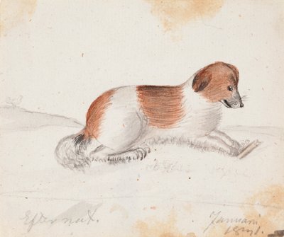 Pies autorstwa Ferdinand von Wright