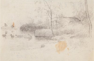 Krajobraz z kaczkami autorstwa Ferdinand von Wright
