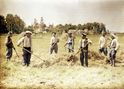 Ośmiu członków 143 Dywizji Piechoty Armii Francuskiej robi siano, Soissons, Aisne, Francja, 1917 (autochrome) autorstwa Fernand Cuville