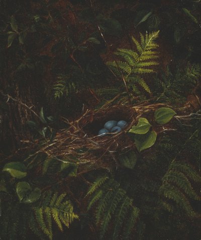 Ptasie gniazdo i paprocie, 1863. autorstwa Fidelia Bridges